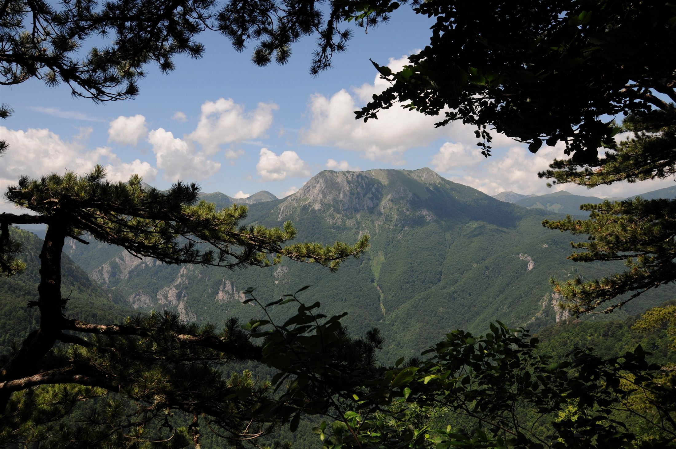 The Dinaric Alps in Sutjeska National Park